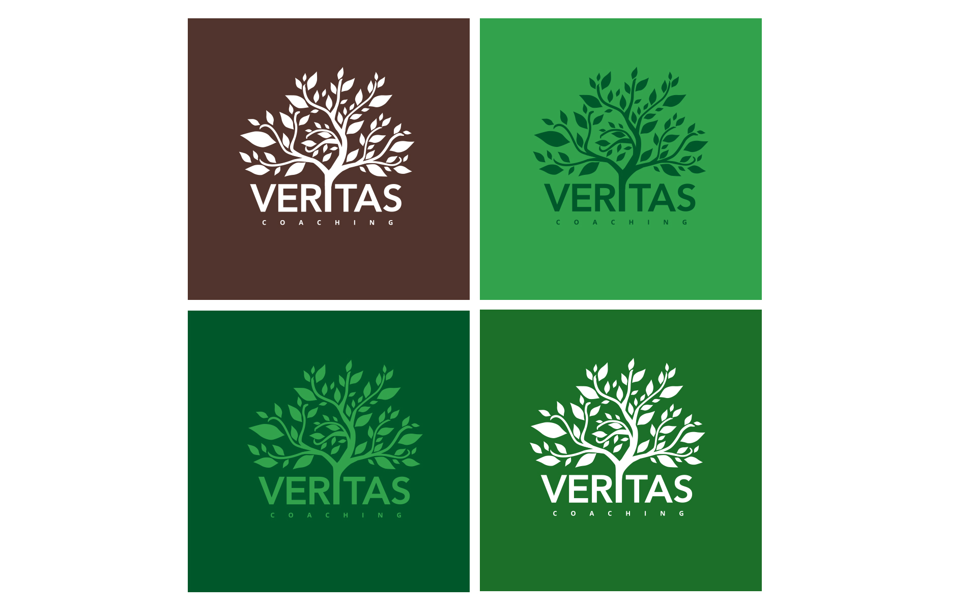 Veritas Logo Variation